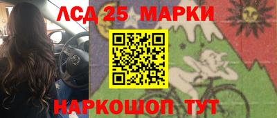 гашик Кимры