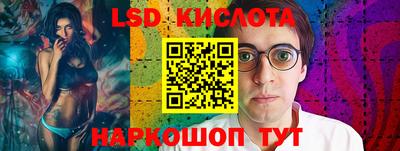 дмт Кингисепп