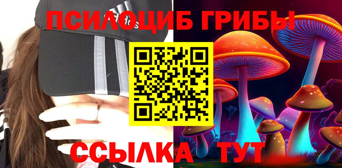 Галлюциногенные грибы MAGIC MUSHROOMS Краснознаменск