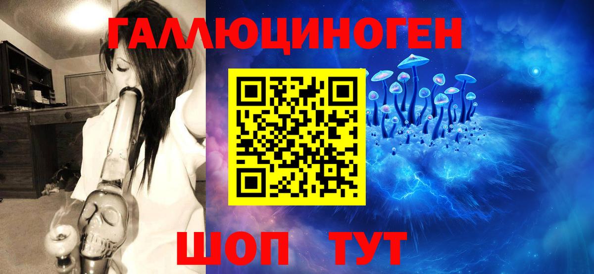 Псилоцибиновые грибы Psilocybe  Вход с VPN  Краснознаменск  Псилоцибиновые грибы мухоморы 